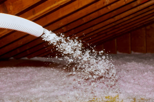 Best Cellulose Insulation in Paincourtville, LA