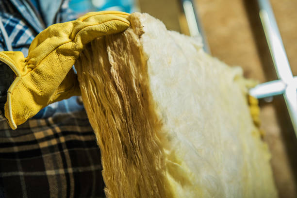 Best Eco-Friendly Insulation in Paincourtville, LA