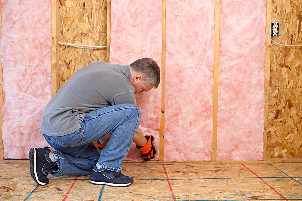 Best Spray Foam Insulation in Paincourtville, LA