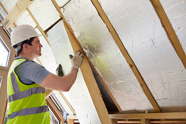 Types of Insulation We Offer in Paincourtville, LA