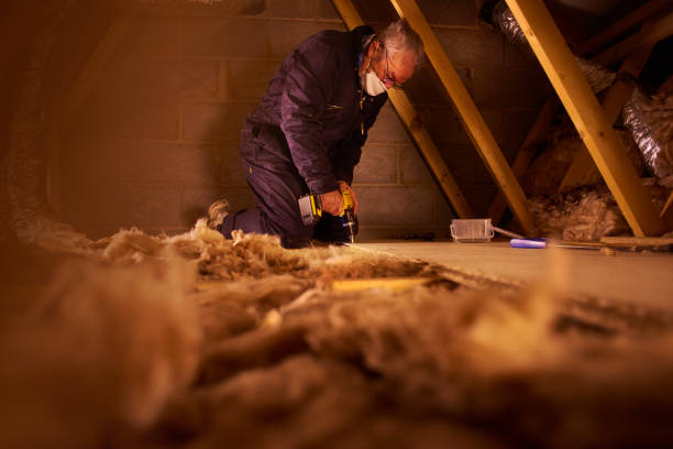 Best Geographic-Specific Insulation Services in Paincourtville, LA